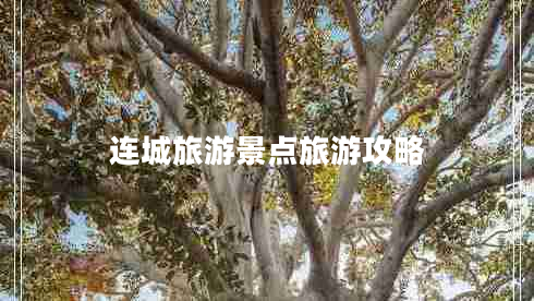 連城旅游景點旅游攻略