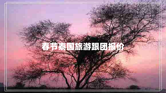 春節泰國旅游跟團報價(jià)