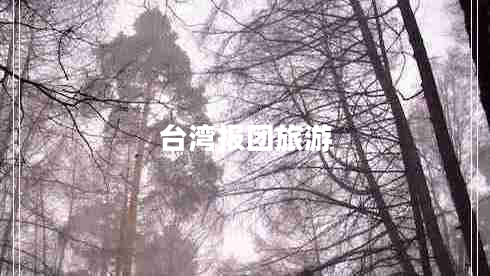 臺灣報團旅游