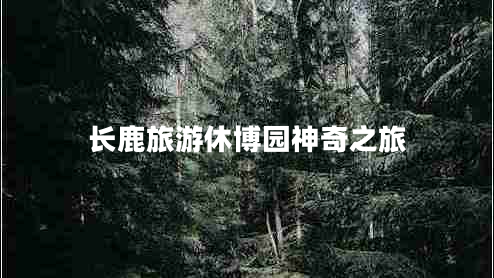 長(cháng)鹿旅游休博園神奇之旅