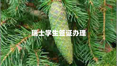 瑞士學(xué)生簽證辦理