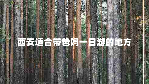 西安適合帶爸媽一日游的地方