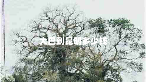 大巴到昆明多少錢(qián)