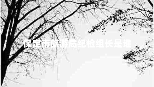 保定市旅游局紀檢組長(cháng)是誰(shuí)