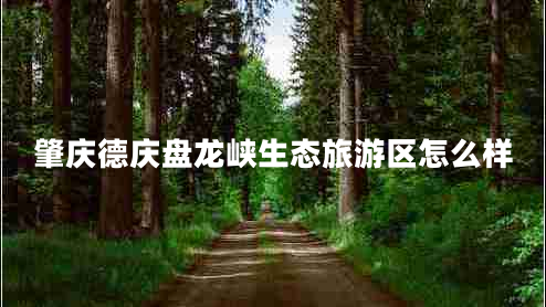 肇慶德慶盤(pán)龍峽生態(tài)旅游區怎么樣