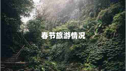 春節旅游情況