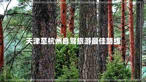 天津至杭州自駕旅游最佳路線(xiàn)