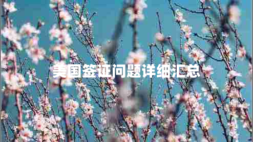 美國簽證問(wèn)題詳細匯總