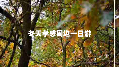 冬天孝感周邊一日游