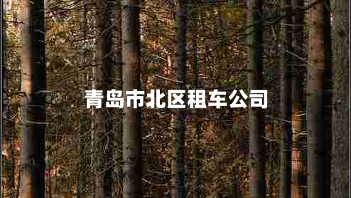 青島市北區租車(chē)公司