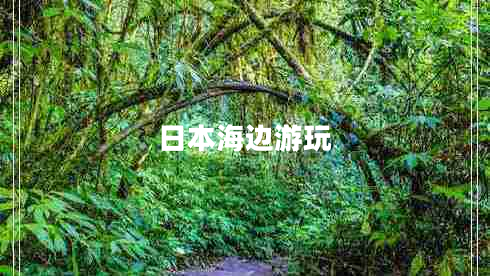 日本海邊游玩
