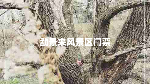 勐景來(lái)風(fēng)景區門(mén)票