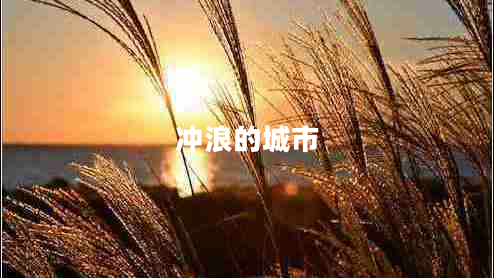 沖浪的城市