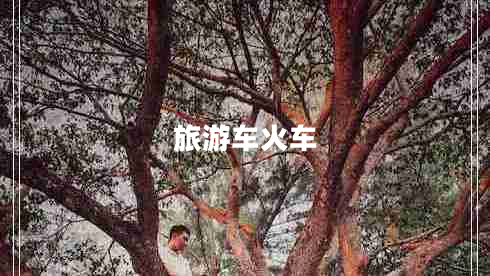 旅游車(chē)火車(chē)