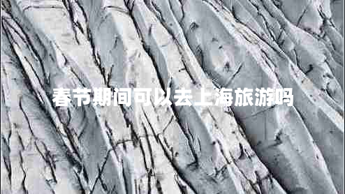 春節期間可以去上海旅游嗎