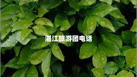 湛江旅游團電話(huà)