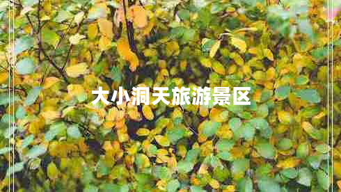 大小洞天旅游景區