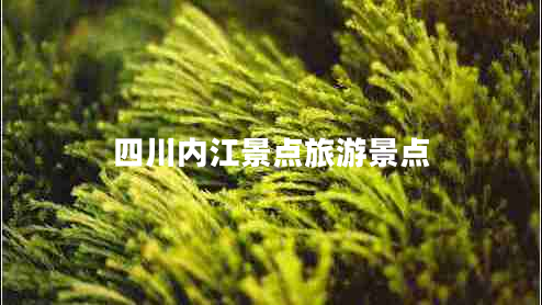 四川內江景點(diǎn)旅游景點(diǎn)