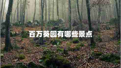 百萬(wàn)葵園有哪些景點(diǎn)