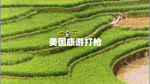 美國旅游打槍