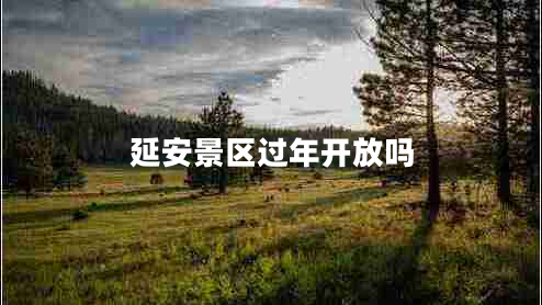 延安景區過(guò)年開(kāi)放嗎
