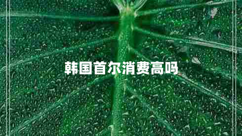 韓國首爾消費高嗎