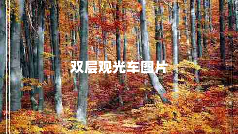 雙層觀(guān)光車(chē)圖片