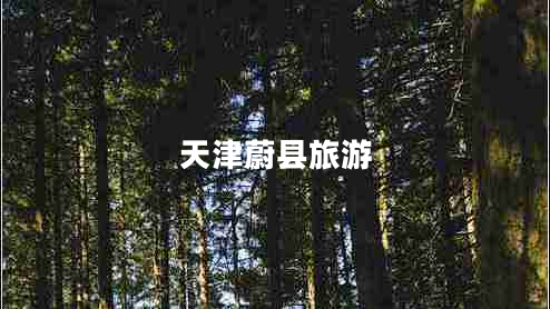 天津蔚縣旅游