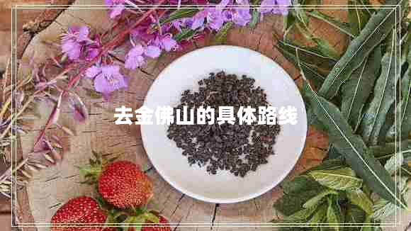 去金佛山的具體路線(xiàn)