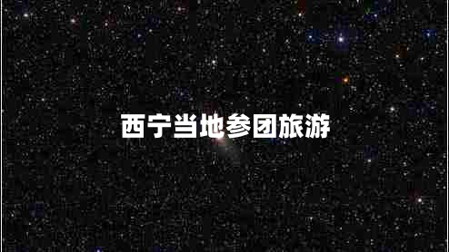 西寧當地參團旅游