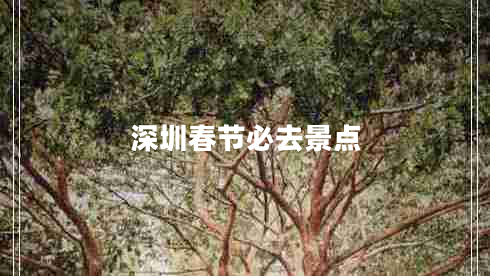 深圳春節必去景點(diǎn)