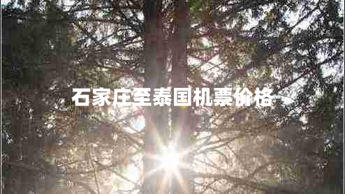 石家莊至泰國機票價(jià)格
