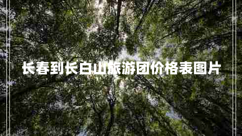 長(cháng)春到長(cháng)白山旅游團價(jià)格表圖片