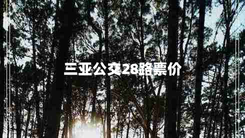 三亞公交28路票價(jià)
