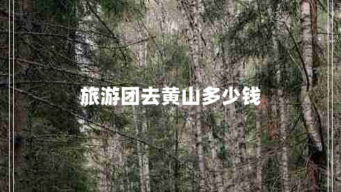 旅游團去黃山多少錢(qián)
