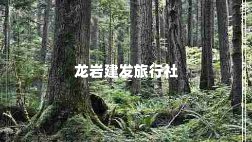 龍巖建發(fā)旅行社