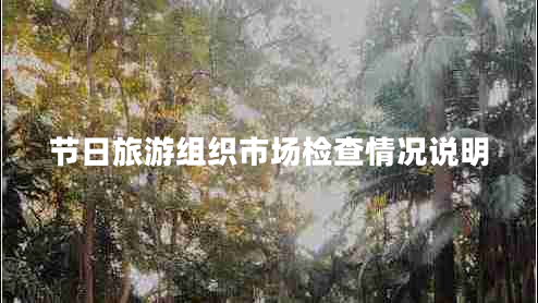 節日旅游組織市場(chǎng)檢查情況說(shuō)明