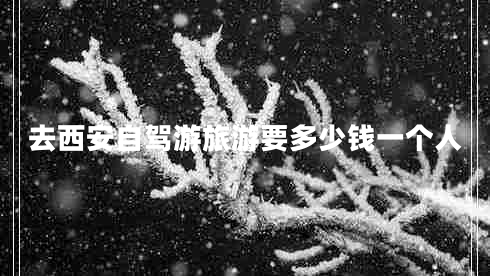 去西安自駕游旅游要多少錢(qián)一個(gè)人