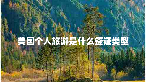 美國個(gè)人旅游是什么簽證類(lèi)型