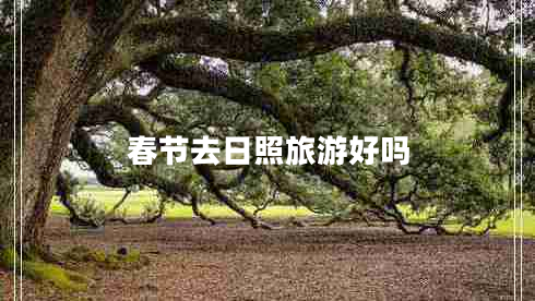 春節去日照旅游好嗎