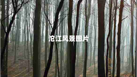 沱江風(fēng)景圖片