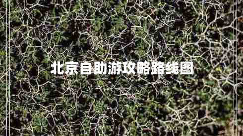北京自助游攻略路線(xiàn)圖