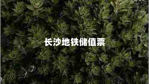長(cháng)沙地鐵儲值票