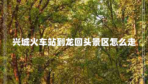 興城火車(chē)站到龍回頭景區怎么走