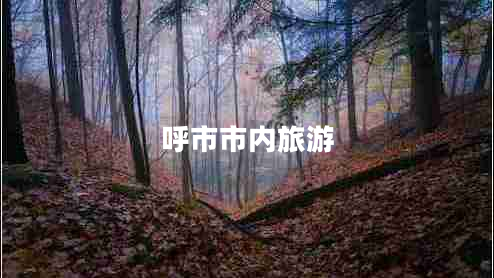 呼市市內旅游