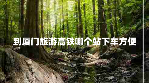 到廈門(mén)旅游高鐵哪個(gè)站下車(chē)方便