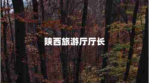 陜西旅游廳廳長(cháng)