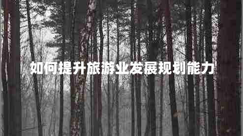 如何提升旅游業(yè)發(fā)展規劃能力