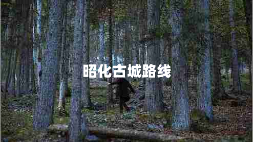 昭化古城路線(xiàn)