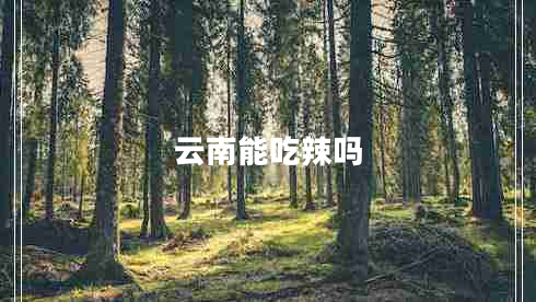 云南能吃辣嗎